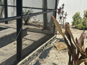 Sliding screen door and lanai screen repair in Tampa